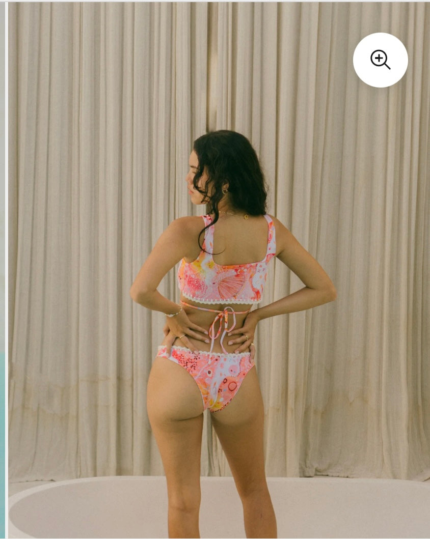 Sand Seashells Swim Bottom