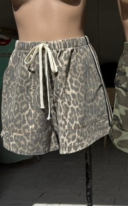Leopard Print Shorts
